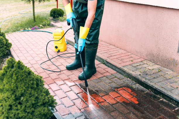Best Best Pressure Washing Companies  in Grand Mound, WA