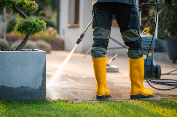 Best Pressure Washing Siding  in Grand Mound, WA